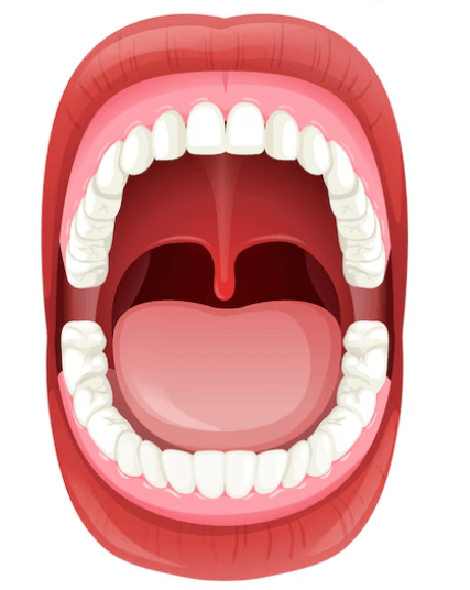 Mouth-The gateway to our health